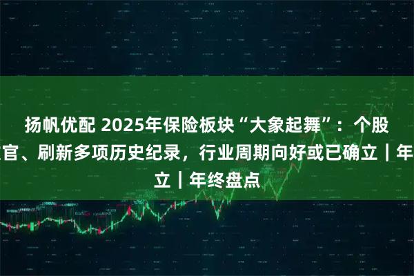 扬帆优配 2025年保险板块“大象起舞”：个股普涨收官、刷新多项历史纪录，行业周期向好或已确立｜年终盘点