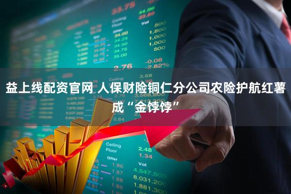 益上线配资官网 人保财险铜仁分公司农险护航红薯成“金饽饽”
