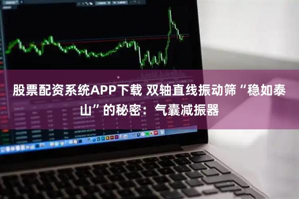 股票配资系统APP下载 双轴直线振动筛“稳如泰山”的秘密：气囊减振器