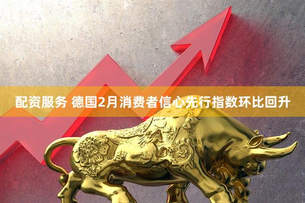 配资服务 德国2月消费者信心先行指数环比回升