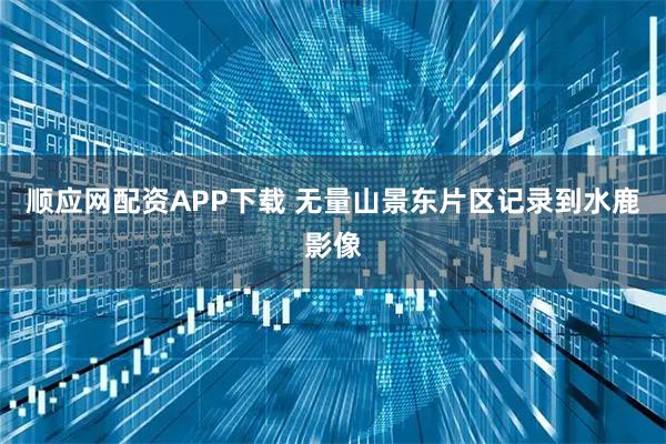 顺应网配资APP下载 无量山景东片区记录到水鹿影像